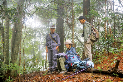 寻找海南长臂猿