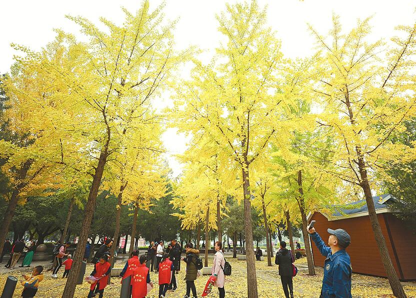 【森林防火 人人有责】护林防火是全社会共同责任