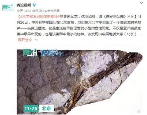 中外科学家团队发现恐龙新物种 网友：能当宠物养吗？