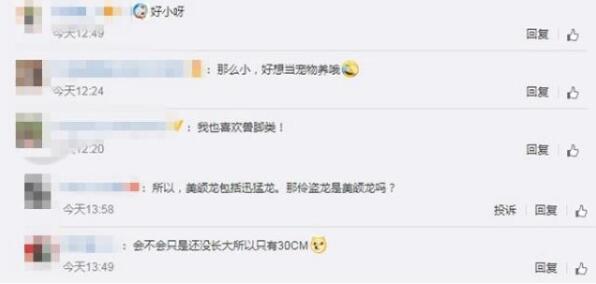 中外科学家团队发现恐龙新物种 网友：能当宠物养吗？