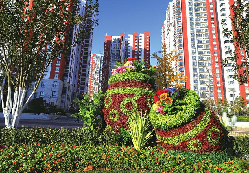 【创城再出发 品质再提升】寒冬也飞花 泉城变花城 济南冬季城市景观美化色彩丰富起来