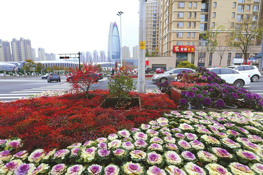 济南：文明基因融入城市血脉