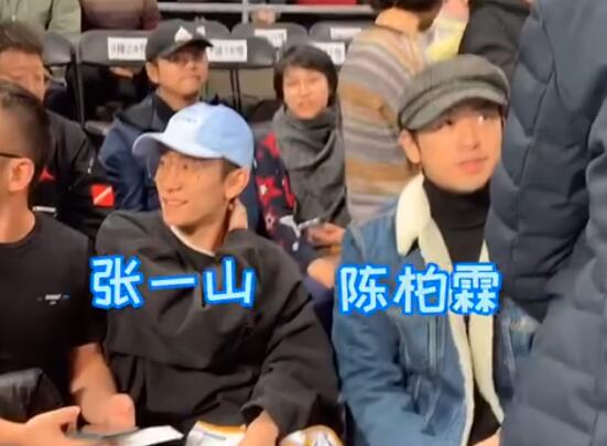 张一山观战CBA是怎么回事?终于真相了,原来是这样！