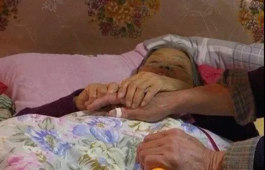 北大博士后失联20年,母亲病危想见他,他只回了7个字…