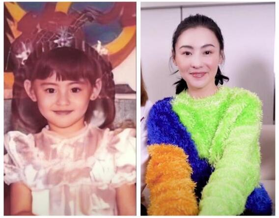 从小美到大！张柏芝晒学生时期证件照，眉眼清秀甜笑可人