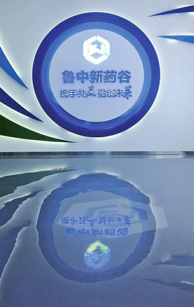 亮出独家闪光点 取长补短促发展!“动能转换 项目为王”重点项目观摩第二天16个项目集中亮相