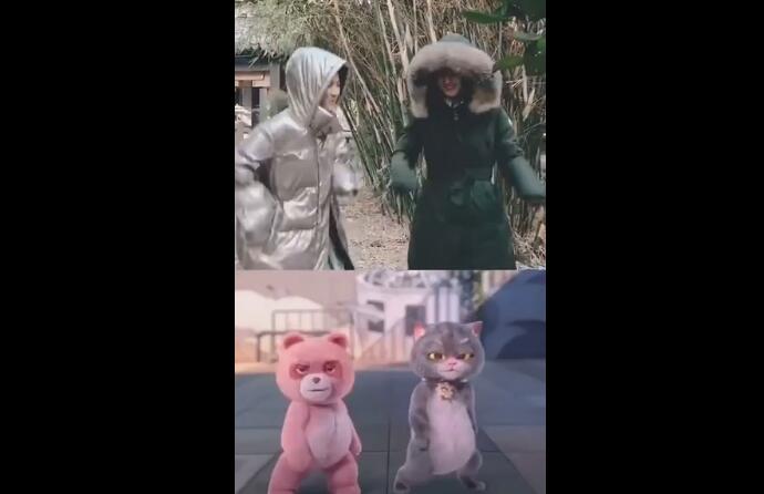 赵丽颖张慧雯斗舞是怎么回事？终于真相了，原来是这样！