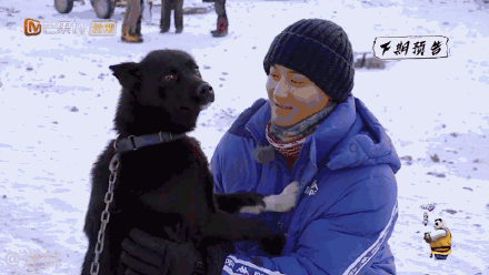 被狗强吻后的黄子韬什么情况？终于真相了，原来是这样！