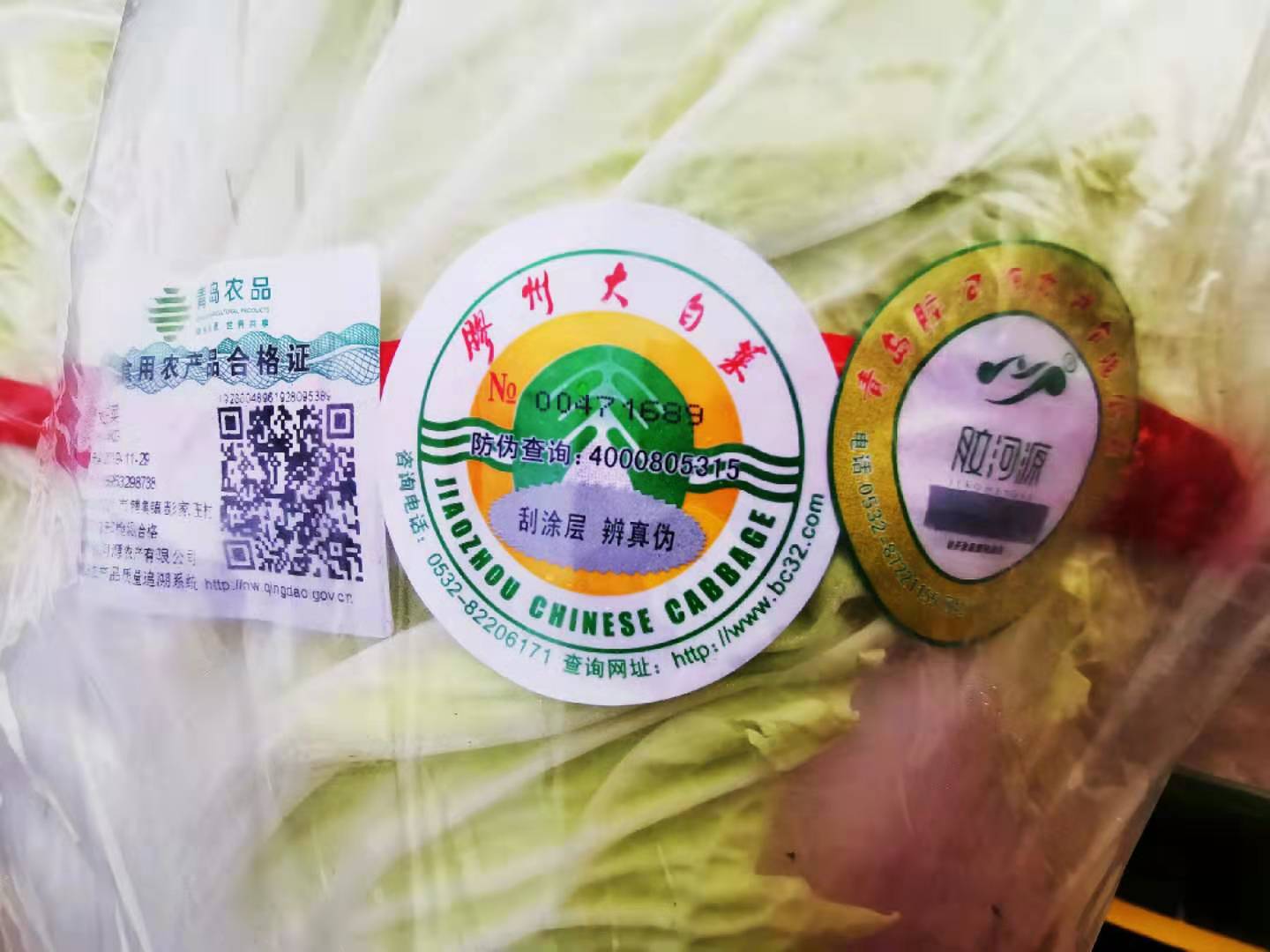 这就是山东:这里不止是葱高,还有入口入诗入相思的“胶大”