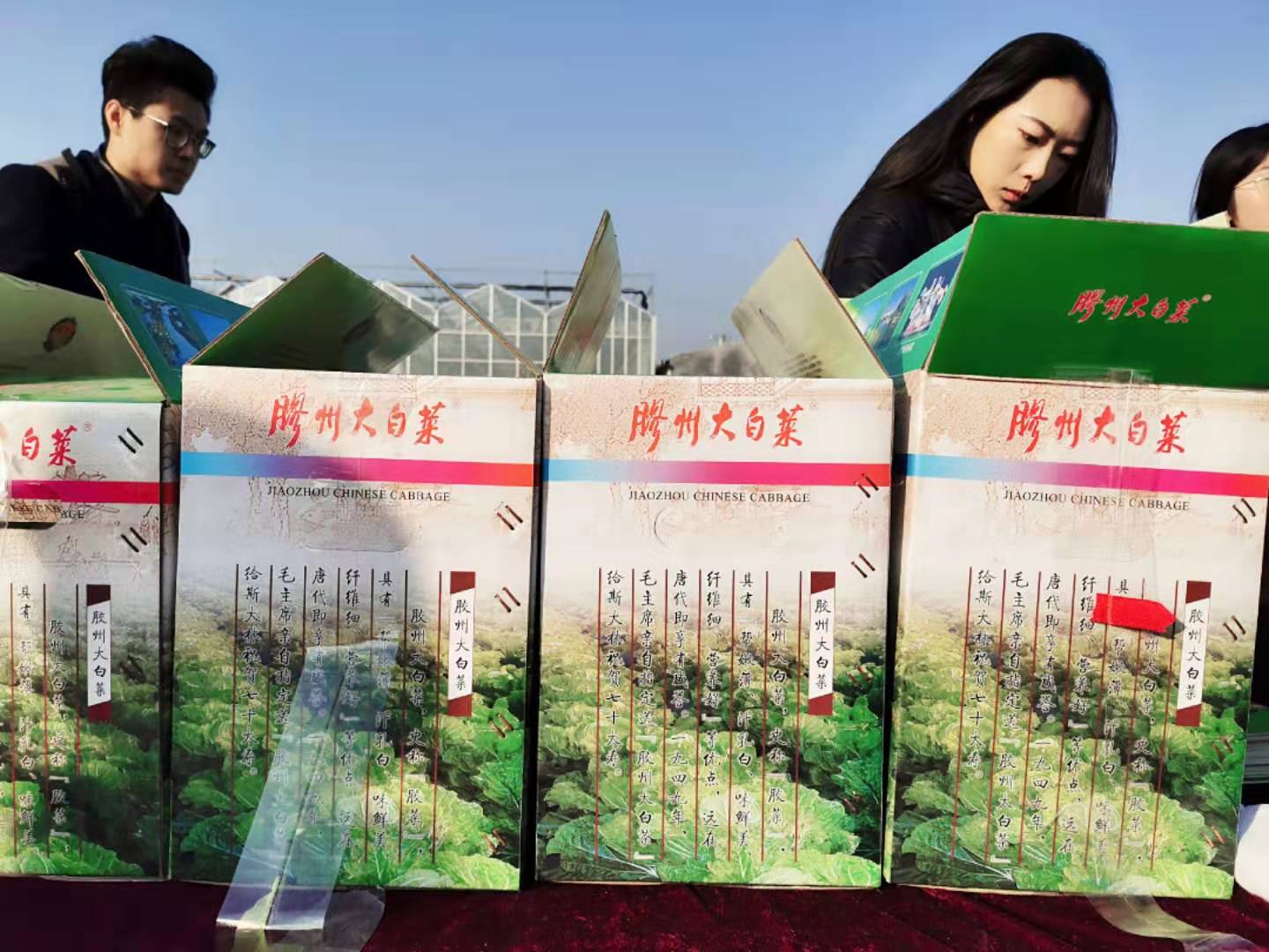 这就是山东:这里不止是葱高,还有入口入诗入相思的“胶大”
