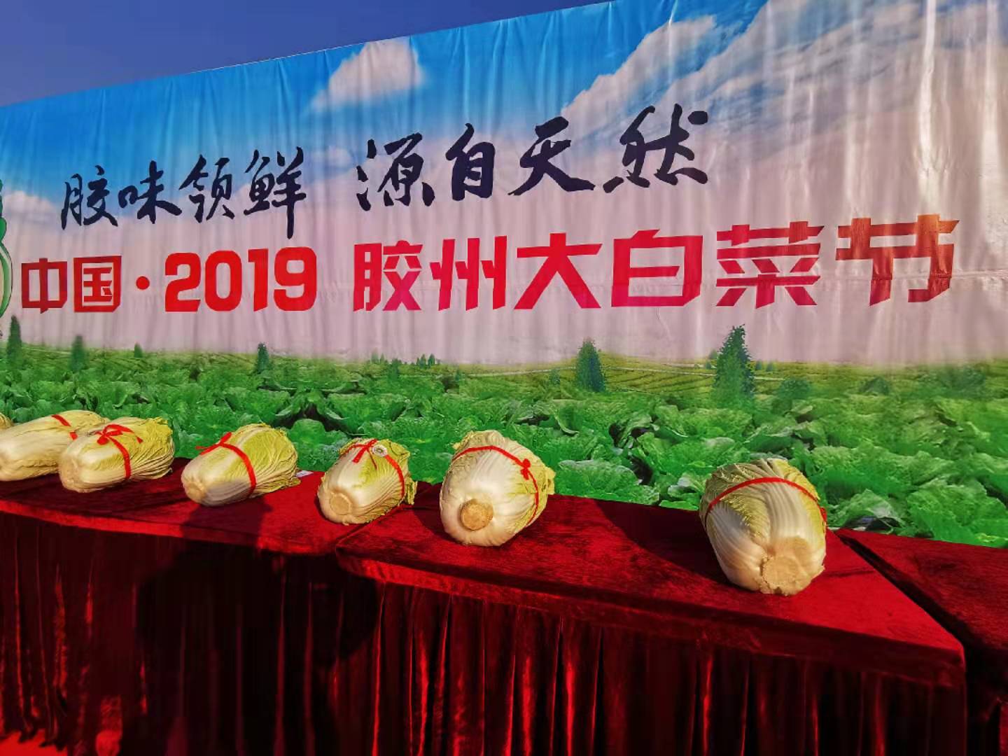 这就是山东:这里不止是葱高,还有入口入诗入相思的“胶大”