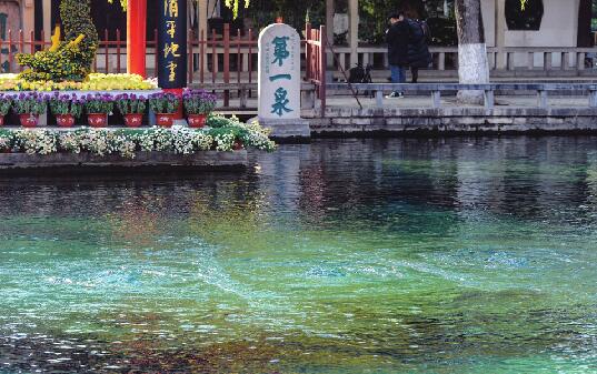 老天不给力，趵突泉又喊“渴”了！汛期过后破黄线，比去年早了两个半月