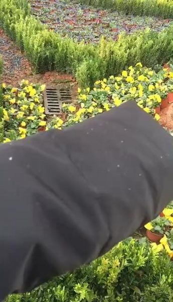 刚刚,昆明又下雪啦!堆雪人的愿望会实现吗?