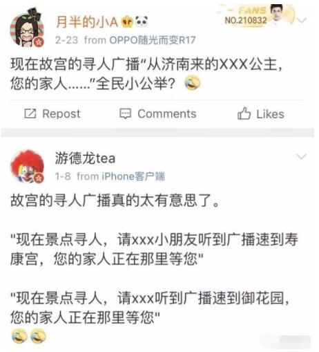 第一次有了想走丢的想法！故宫广播寻找走失导游 网友评论亮了！