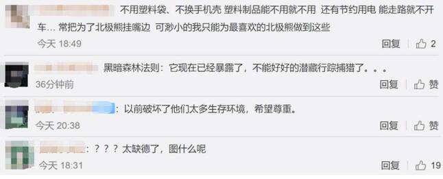 可恶至极!北极熊身上被涂字 黑色标记将使其捕食变得困难