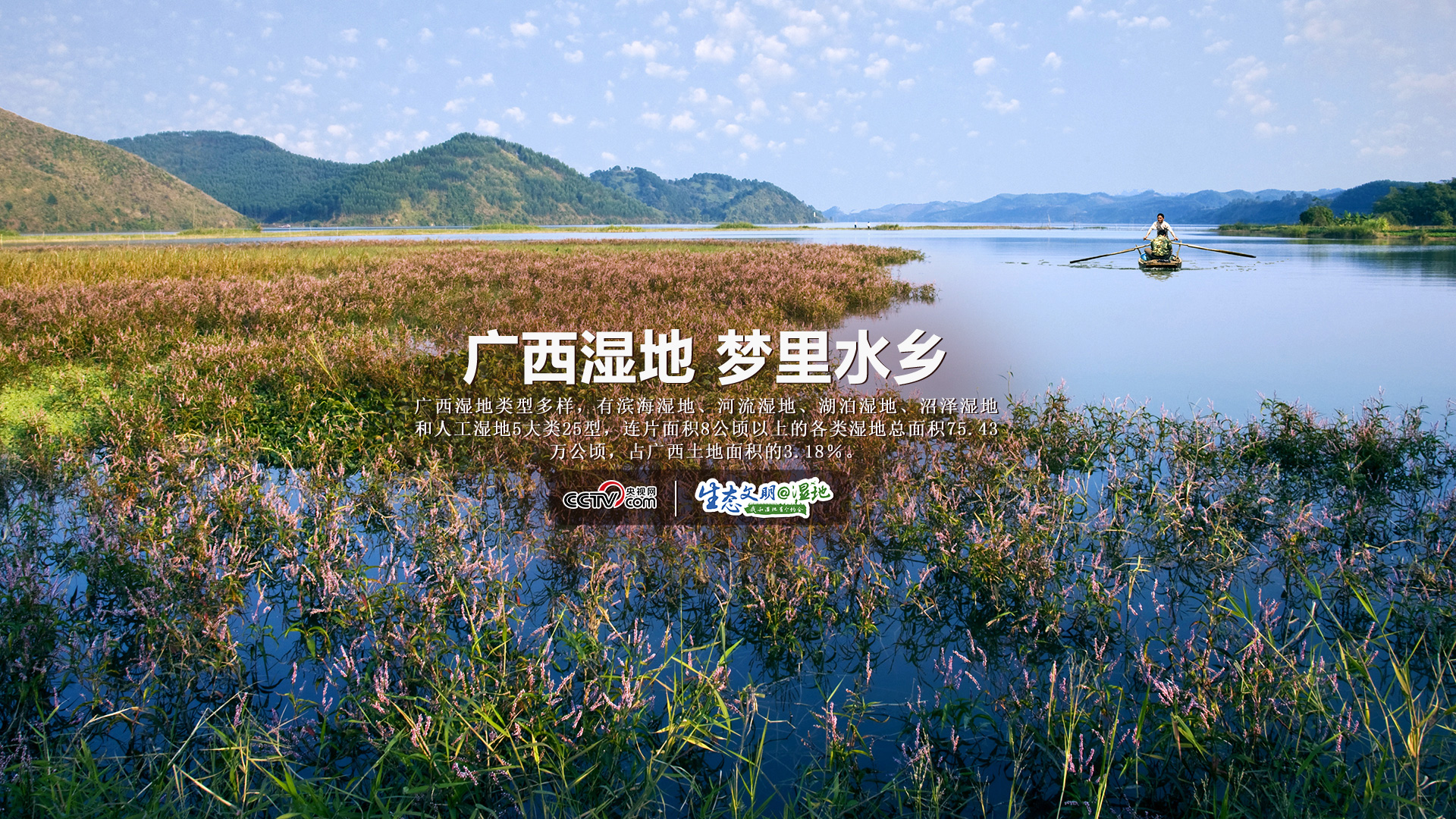 【生态文明@湿地】广西湿地，梦里水乡