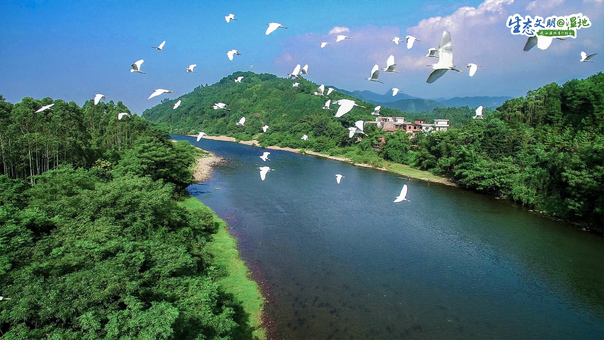 【生态文明@湿地】广西湿地，梦里水乡