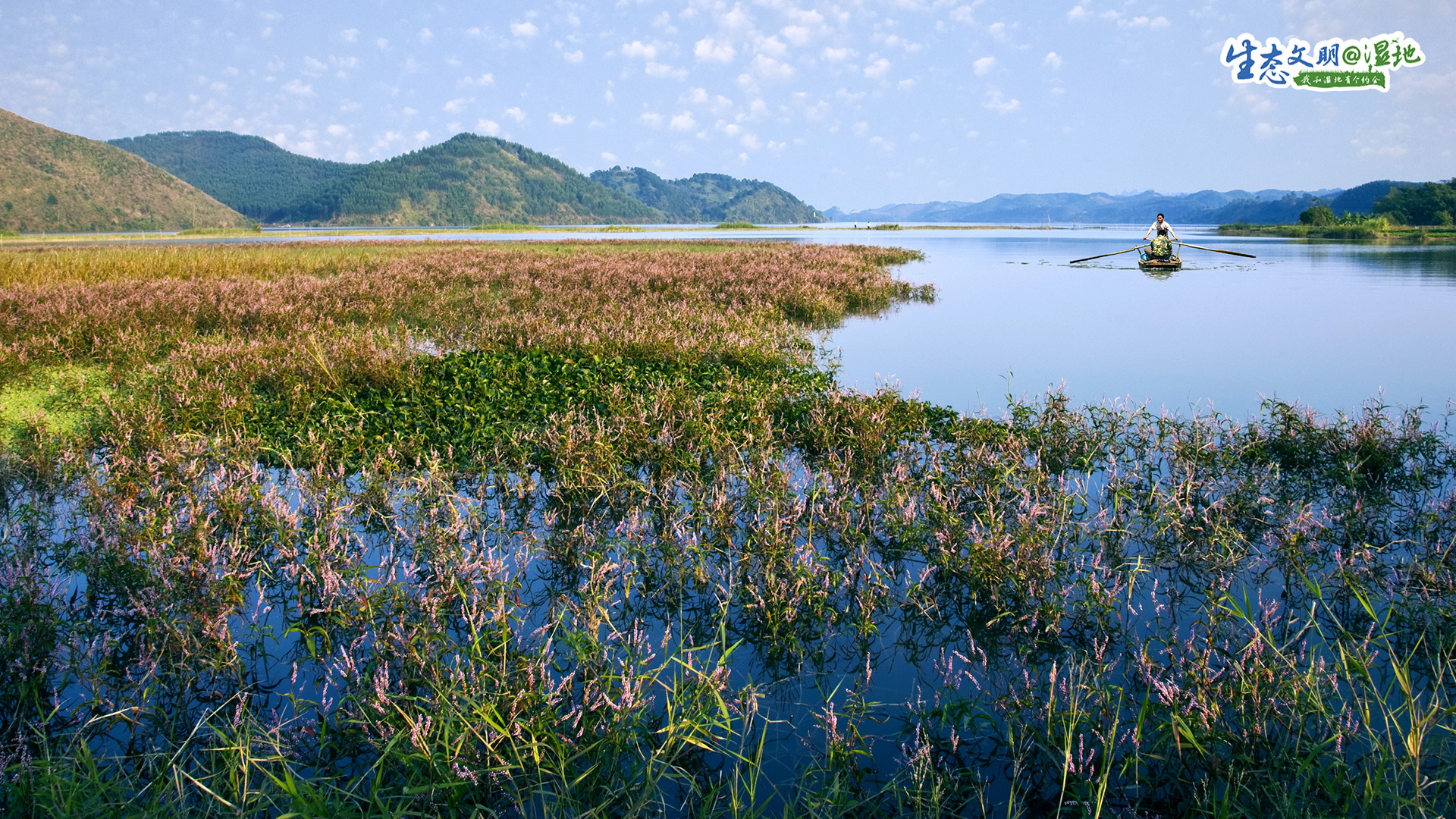 【生态文明@湿地】广西湿地，梦里水乡
