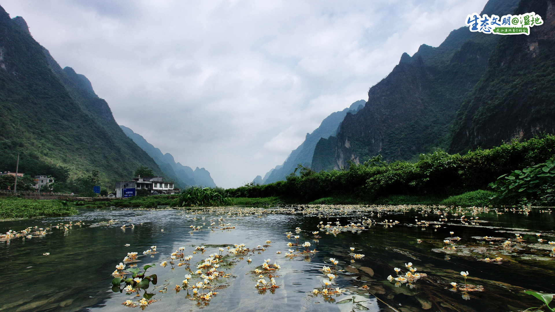 【生态文明@湿地】广西湿地，梦里水乡