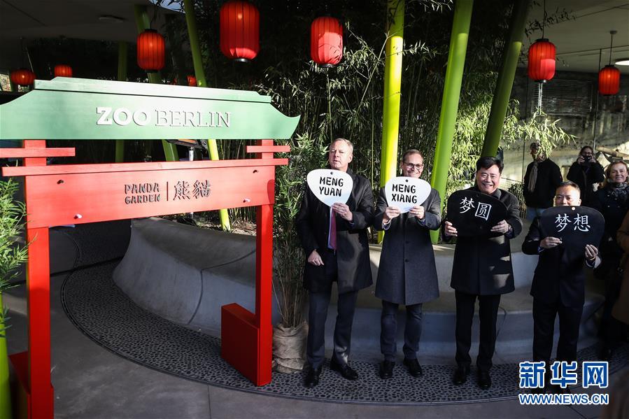 在德出生大熊猫双胞胎命名为“梦想”“梦圆”
