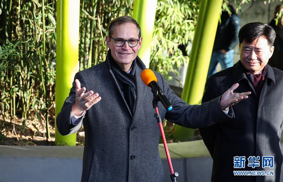 在德出生大熊猫双胞胎命名为“梦想”“梦圆”