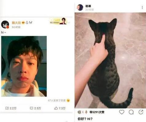 杨幂魏大勋恋情实锤？深夜酒店幽会共度一夜…