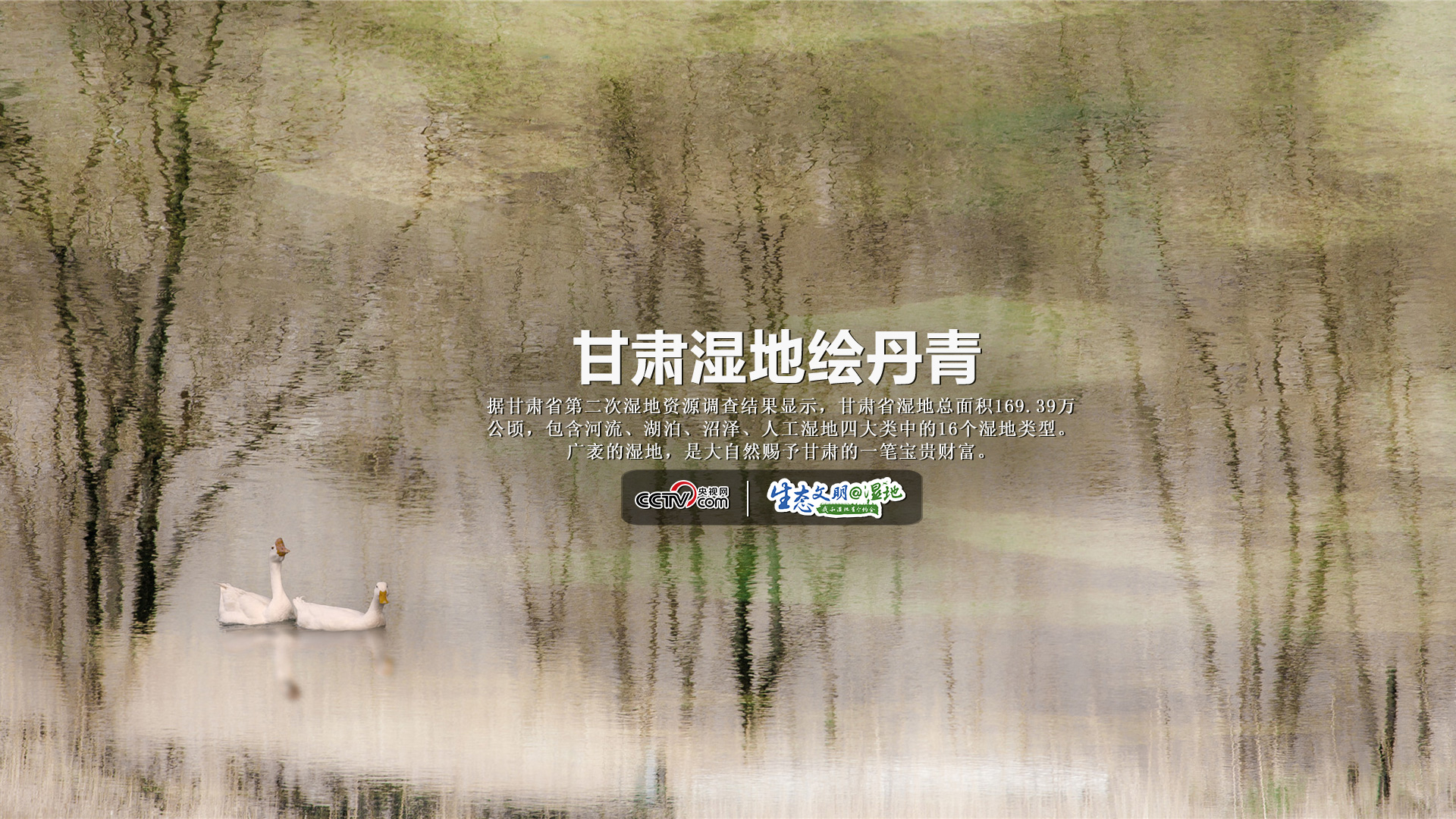 【生态文明@湿地】甘肃湿地绘丹青