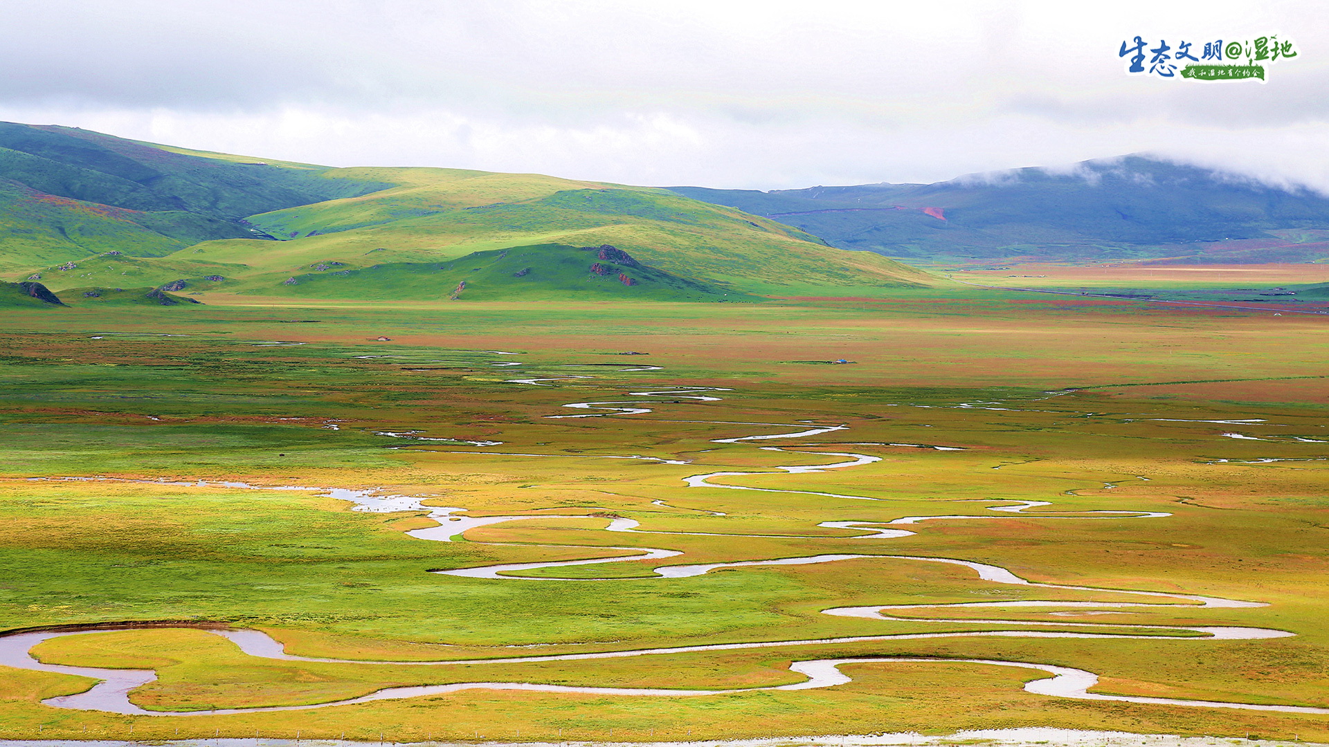 【生态文明@湿地】甘肃湿地绘丹青