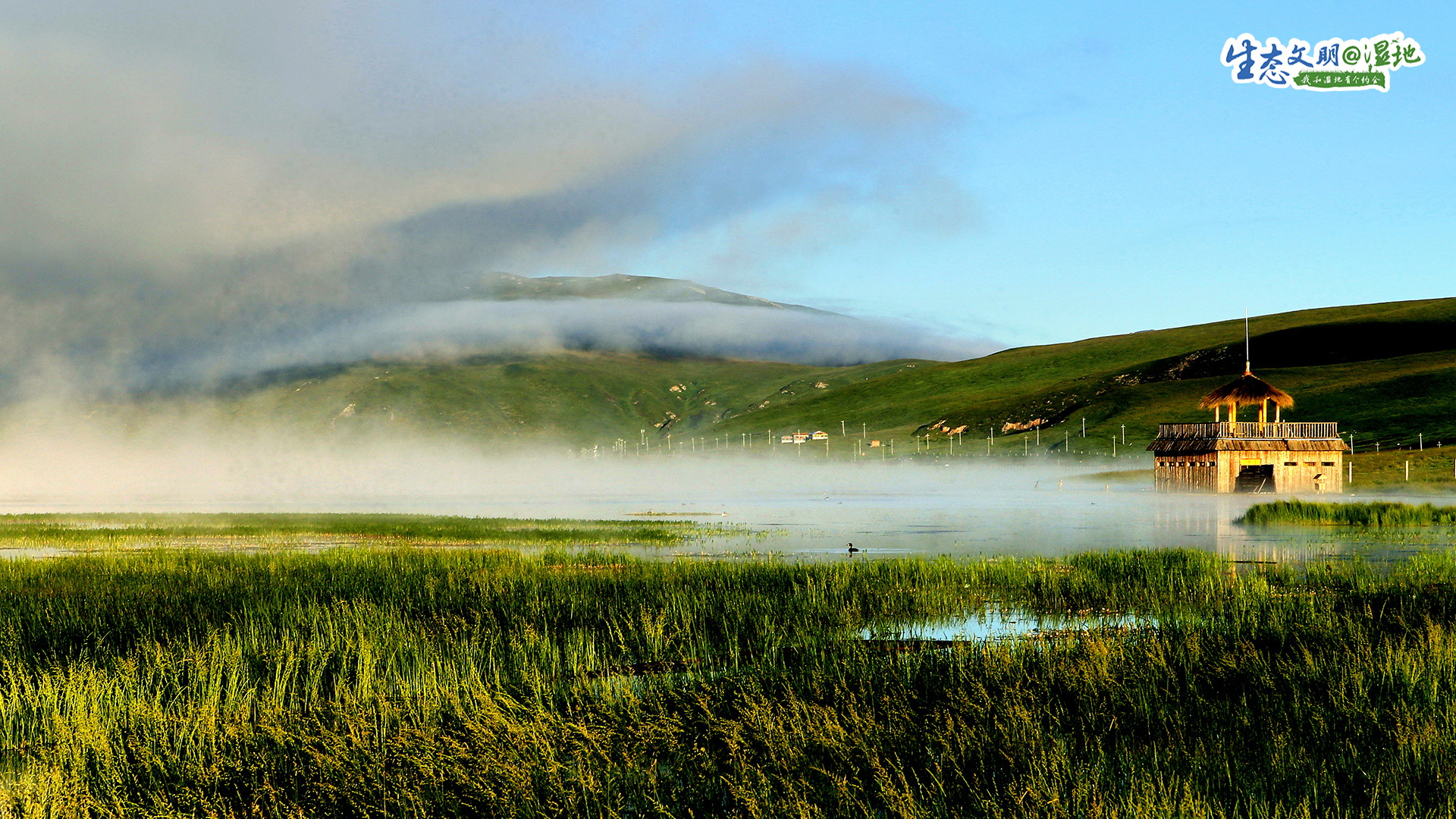 【生态文明@湿地】甘肃湿地绘丹青