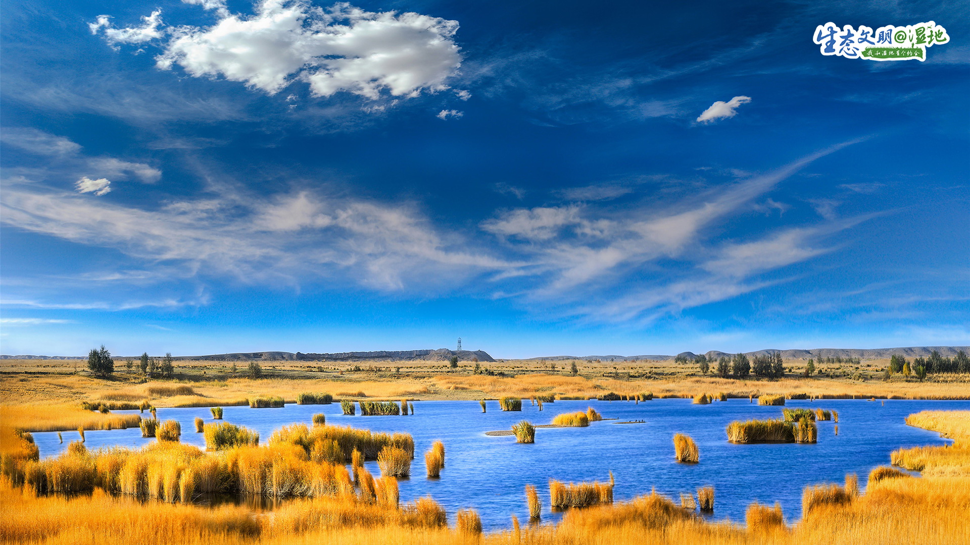 【生态文明@湿地】甘肃湿地绘丹青