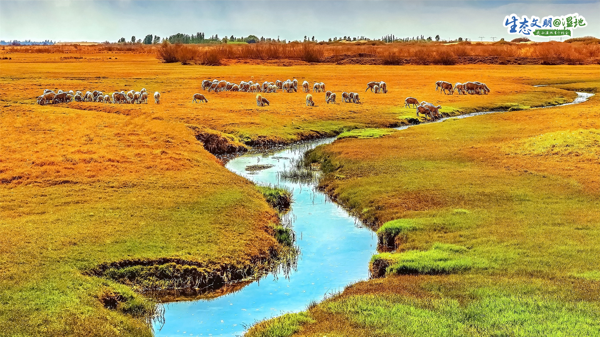 【生态文明@湿地】甘肃湿地绘丹青