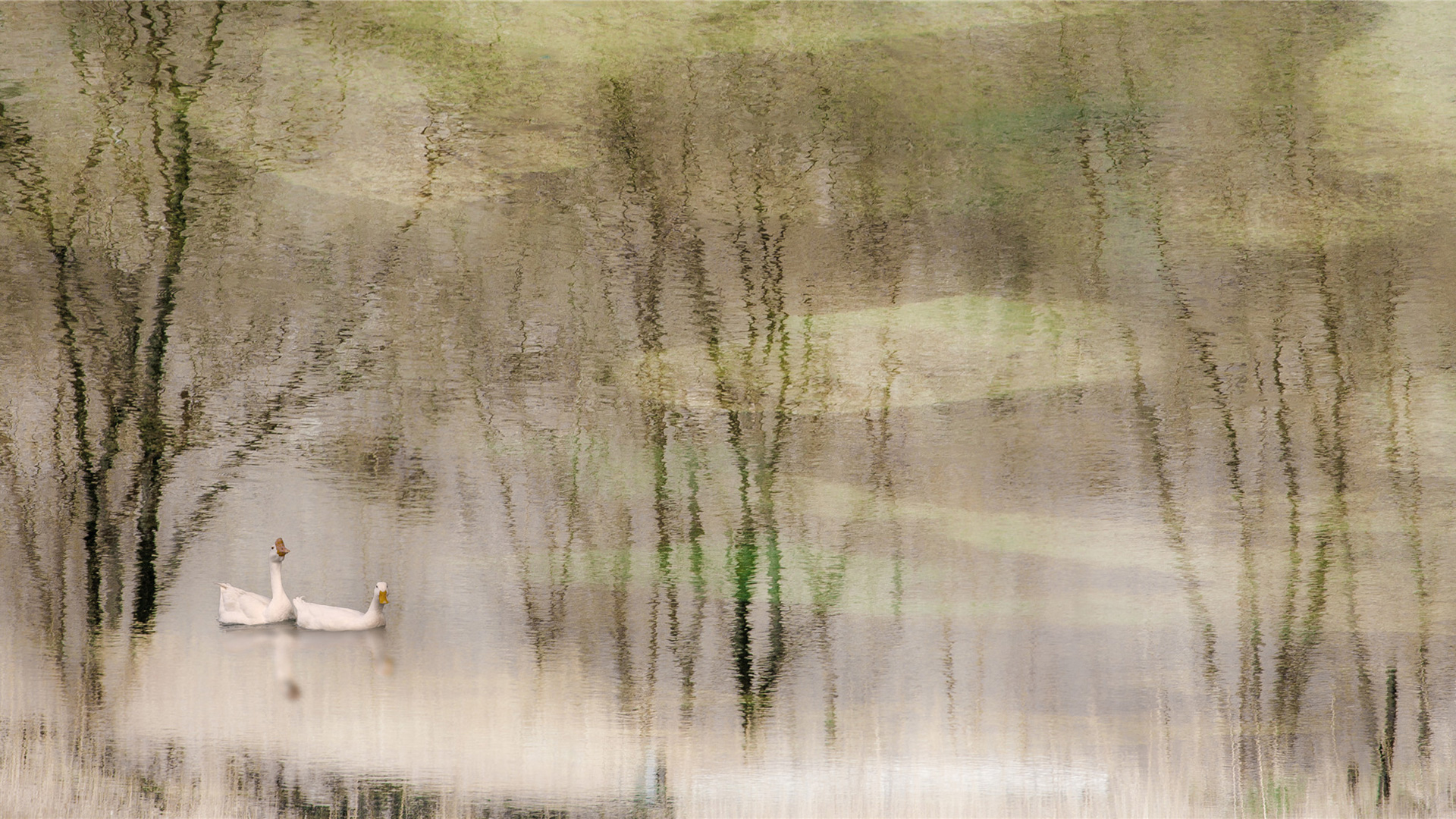 【生态文明@湿地】甘肃湿地绘丹青