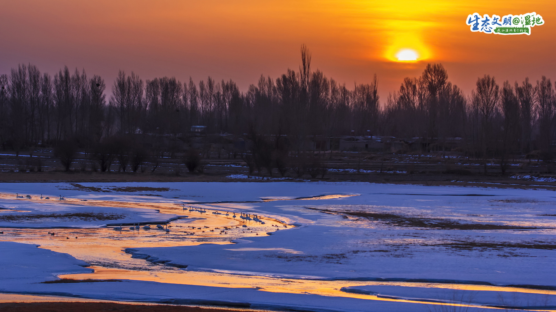 【生态文明@湿地】甘肃湿地绘丹青