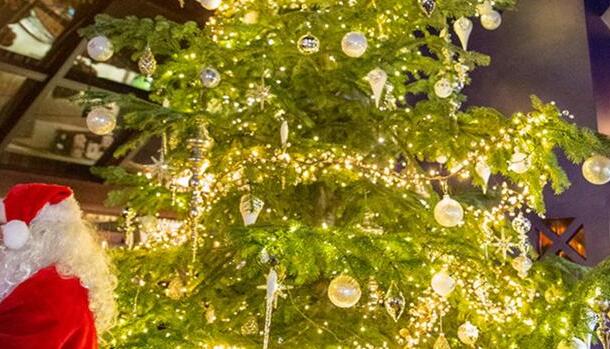 贫穷限制了想象!全球最贵圣诞树是怎么回事?真相在这里