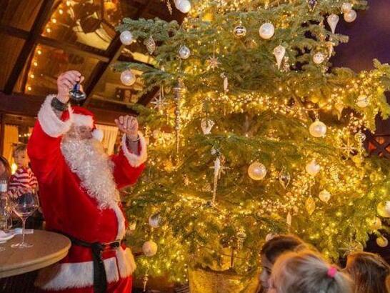 贫穷限制了想象!全球最贵圣诞树是怎么回事?真相在这里