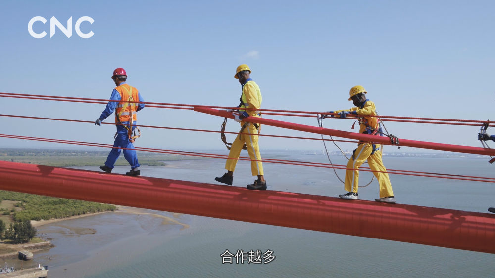 重磅短视频|合作之道