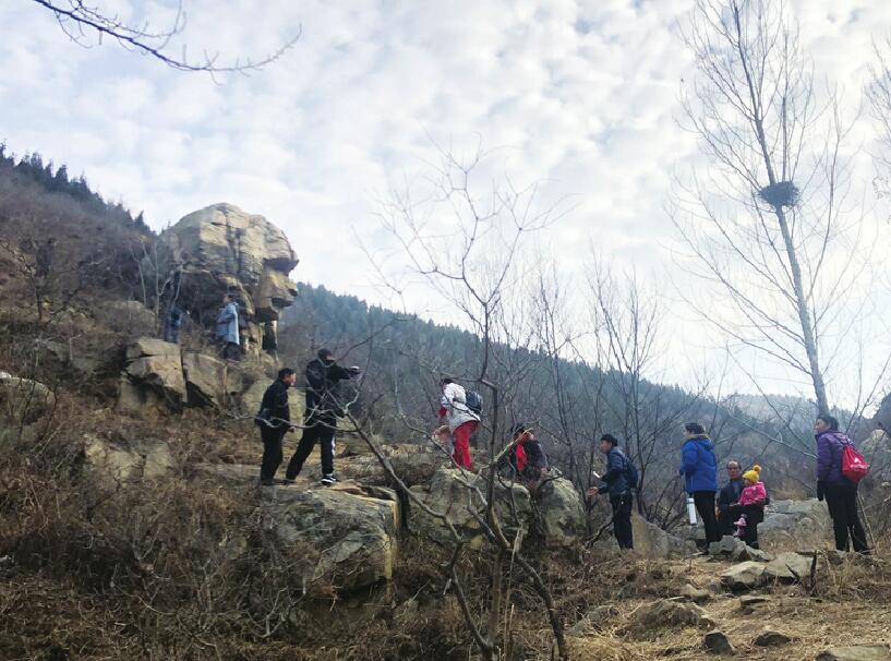 南山“石猴”走红，每天近千人打卡 这处“网红”可以红多久？专家建议建地质公园