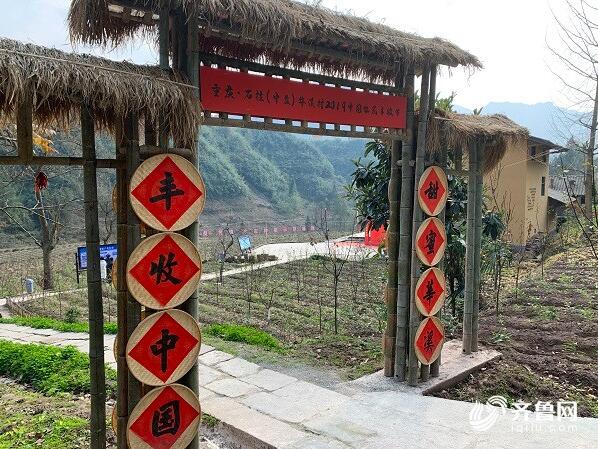 鲁渝扶贫深化协作 重庆这个村贫困户全部达脱贫标准