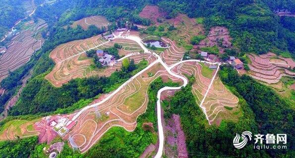 鲁渝扶贫深化协作 重庆这个村贫困户全部达脱贫标准