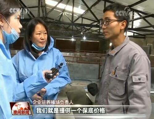 猪肉保供稳价成效如何?记者深入调研生猪养殖现状