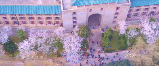 20万大奖!这部关于武汉的网红大片,火遍全球