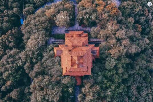 20万大奖!这部关于武汉的网红大片,火遍全球