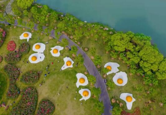 20万大奖!这部关于武汉的网红大片,火遍全球