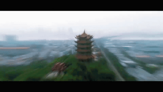 20万大奖!这部关于武汉的网红大片,火遍全球