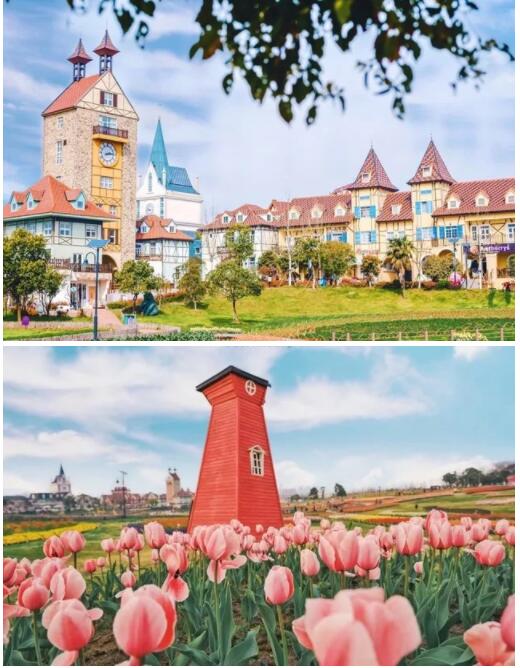 20万大奖!这部关于武汉的网红大片,火遍全球