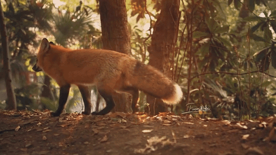 20万大奖!这部关于武汉的网红大片,火遍全球