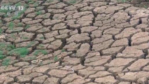 旱情持续!无雨天数已达90天 江西省多地发生不同程度干旱