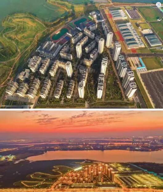 20万大奖!这部关于武汉的网红大片,火遍全球