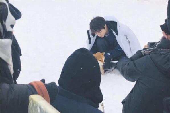 是敬业的王俊凯！滑雪场偶遇王俊凯，网友：好羡慕那只狗