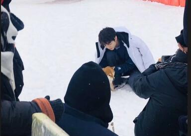 画风美丽！网友滑雪场偶遇王俊凯撸狗 萌犬遇上美少年
